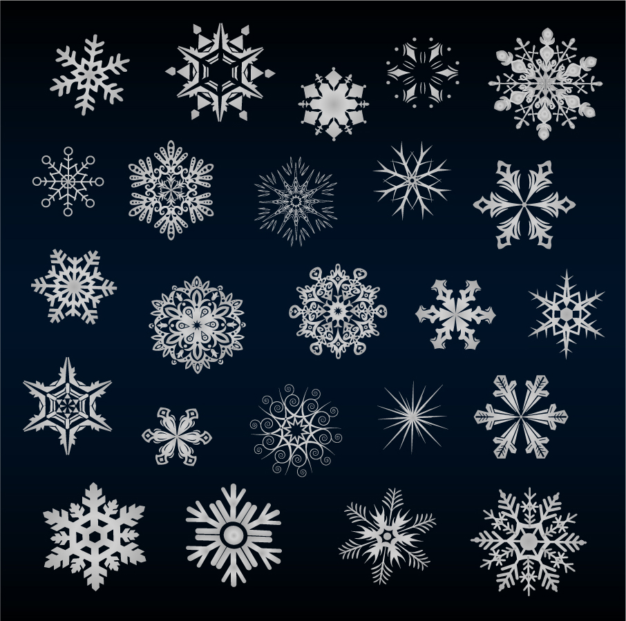 雪の結晶のイラスト A Variety Of Beautiful Snow Vector イラスト素材 Illustpost