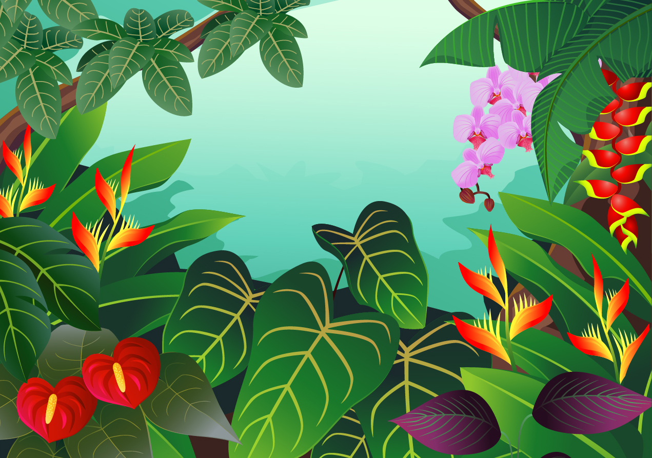 ジャングルの植物 Cartoons Animation Illustration Plant イラスト素材 Illustpost
